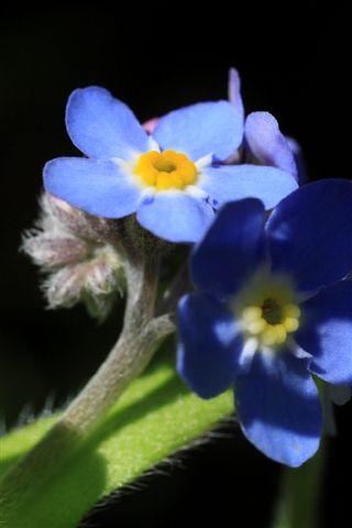 Bleu 14.JPG